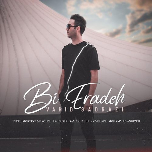 Vahid Sadraei – Bi Eradeh